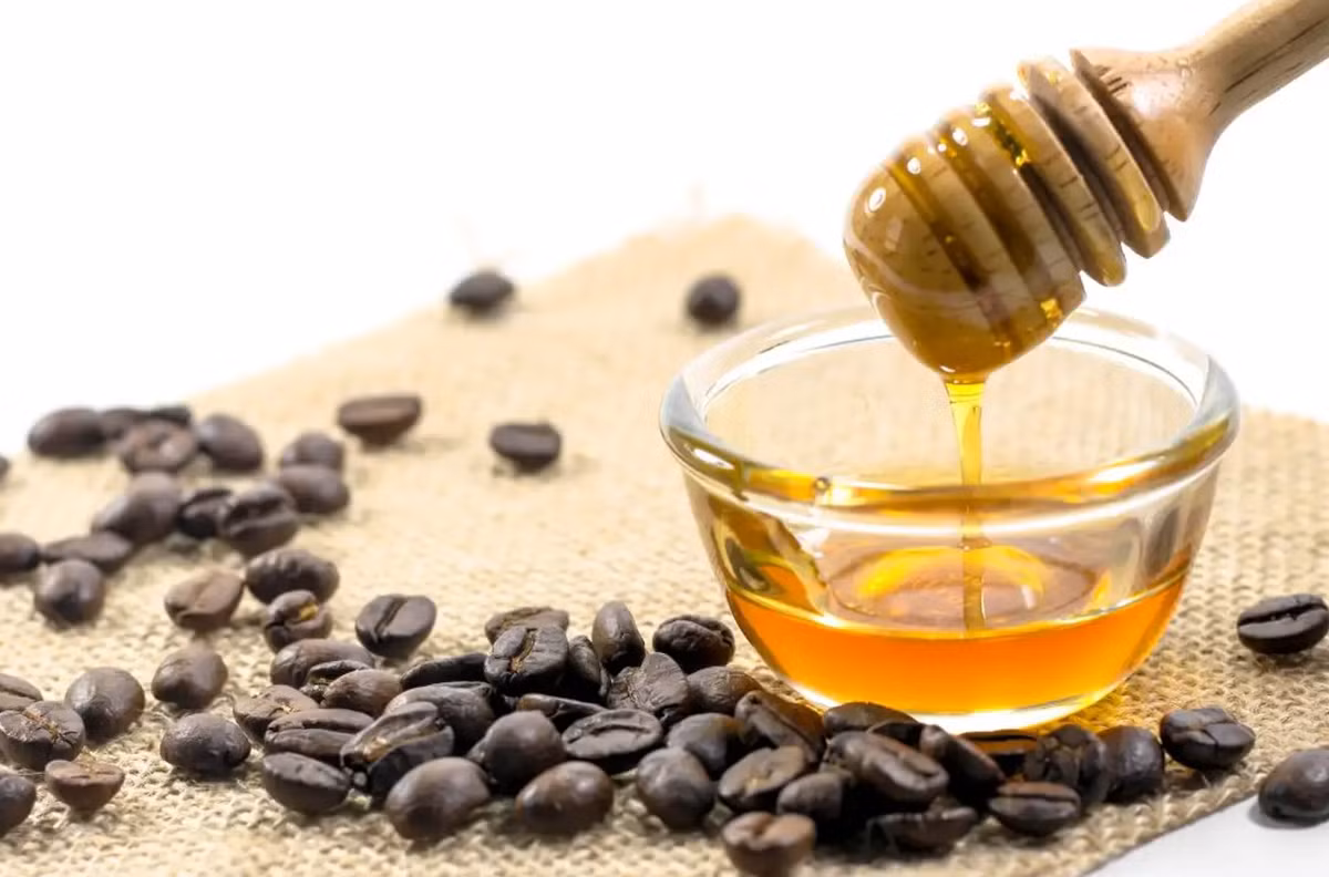 Mật ong hoa cà phê là một đặc sản quý giá của vùng đất đỏ bazan Đắk Lắk, được nhiều du khách mua làm quà. Với vị ngọt thanh, không gắt và hàm lượng dinh dưỡng cao, mật ong hoa cà phê không chỉ là thức uống thơm ngon mà còn là món quà quý giá từ thiên nhiên. Ảnh: Shutterstock