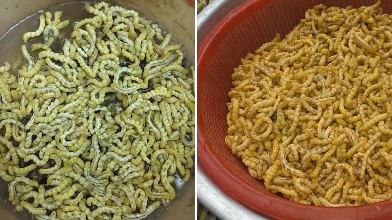 Đặc sản sâu chít sau khi chế biến có vị béo ngậy, thơm ngon và căng mọng nên khiến nhiều người đã ăn một lần là nhớ mãi không quên. Ảnh: Bách hoá Xanh