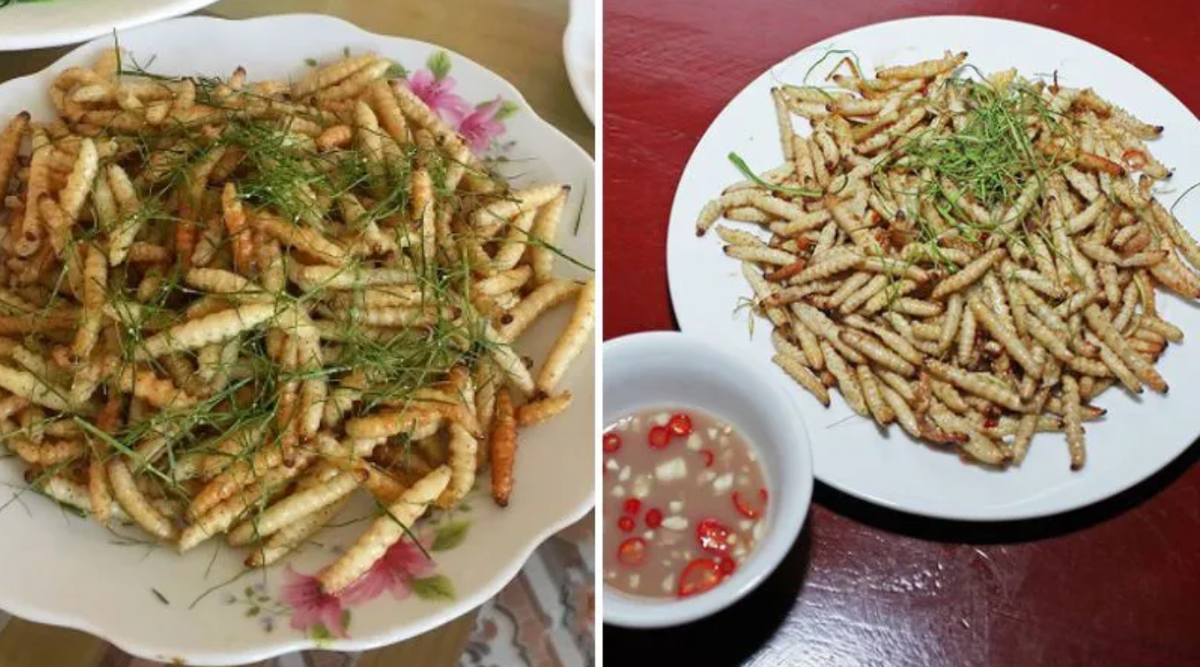 Sâu chít có thể chế biến được thành nhiều món ngon. Sâu chít rang lá chanh là một món ngon phổ biến với cách chế biến khá đơn giản, có thể dùng để ăn cơm, ăn chơi hay dùng để nhâm nhi đều rất hợp lý. Ảnh: Dân Việt