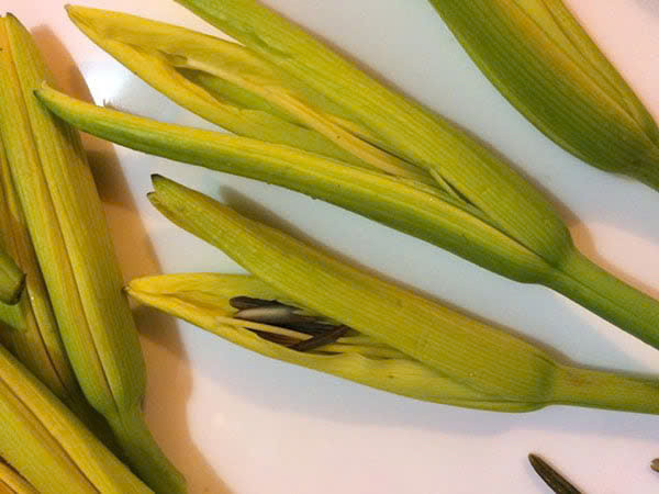 Cật heo xào hoa kim châm: 500 g cật heo, 50 g hoa kim châm, gừng, hành tây, tỏi và một chút gia vị. Cật làm sạch, xắt miếng. Hoa kim châm cắt thành nhiều phần. Đun nóng dầu thực vật trong chảo, cho hành tây, gừng, tỏi vào đảo đều rồi cho cật vào. Khi cật chín, cho hoa kim châm vào, nêm muối, đường vừa ăn. Ảnh minh họa