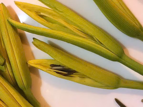 Cật heo xào hoa kim châm: 500 g cật heo, 50 g hoa kim châm, gừng, hành tây, tỏi và một chút gia vị. Cật làm sạch, xắt miếng. Hoa kim châm cắt thành nhiều phần. Đun nóng dầu thực vật trong chảo, cho hành tây, gừng, tỏi vào đảo đều rồi cho cật vào. Khi cật chín, cho hoa kim châm vào, nêm muối, đường vừa ăn. Ảnh minh họa