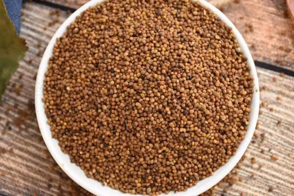 Cháo thỏ ty tử: Thỏ ty tử (cây tơ hồng) 30 – 60g (người mới bị có thể dùng 60 – 100g), gạo tẻ 2 lạng, đường trắng 1 lượng nhất định. Cách chế: Thỏ ty tử giã nát, đổ nước vào sắc lên lấy nước cốt, sau khi bỏ bã cho gạo vào nấu cháo, khi cháo chín cho đường trắng đun sôi lại một chút rồi bắc ra. Món cháo thuốc này có tính bổ dưỡng cường tráng ôn hòa, phải kiên trì ăn dài ngày, 7-10 ngày là một liệu trình, chia ra sáng tối 2 lần. Cách 3 – 5 ngày lại ăn. Ảnh minh họa