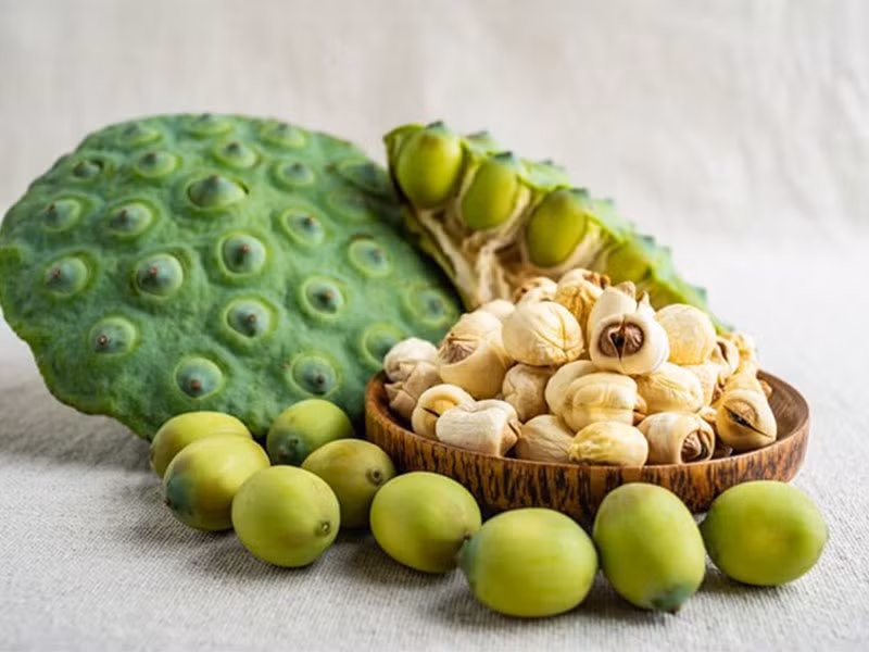 Hạt sen còn chứa các hợp chất đặc tính chống oxy hóa như flavonoid, glycoside, hợp chất phenolic và alkaloid. Theo Đông y, hạt sen vị ngọt chát, tính bình, giúp chữa suy nhược cơ thể, suy nhược thần kinh, cơ thể yếu, mất ngủ, ăn kém. Ảnh Internet