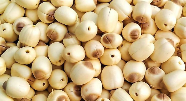  Hạt sen rất giàu dinh dưỡng. Trong 100g hạt sen khô chứa 332kcal (hạt tươi chứa 89 kcal); 64,47g carbohydrat; 15,41g chất đạm; 1,97g chất béo; không cholesterol; 104µg folate; 1,6mg niacin; 0,851mg acid pantothenic. Ảnh Internet