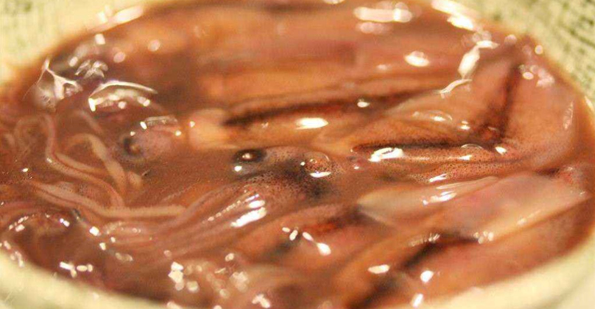 Hỗn hợp sẽ được cho vào hũ thủy tinh hoặc bao nilon để lên men. Shiokara, lên men trong vòng 1 tháng là có thể thưởng thức. Tuy vậy, món ăn ngon nhất khi đạt thời gian ủ chừng 6 tháng. Ảnh: Arigato Japan