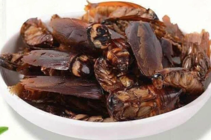 Gián chiên giòn là một trong những món ăn làm từ gián phổ biến nhất trên thế giới.