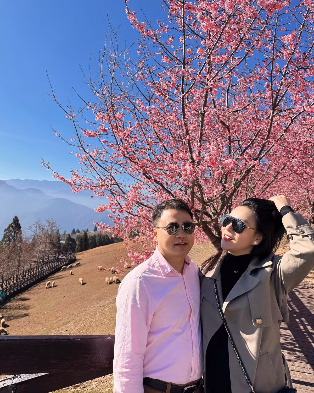 Phương Oanh và Shark Bình được đánh giá là cặp đôi trai tài - gái sắc và hạnh phúc nhất hiện tại của Showbiz.