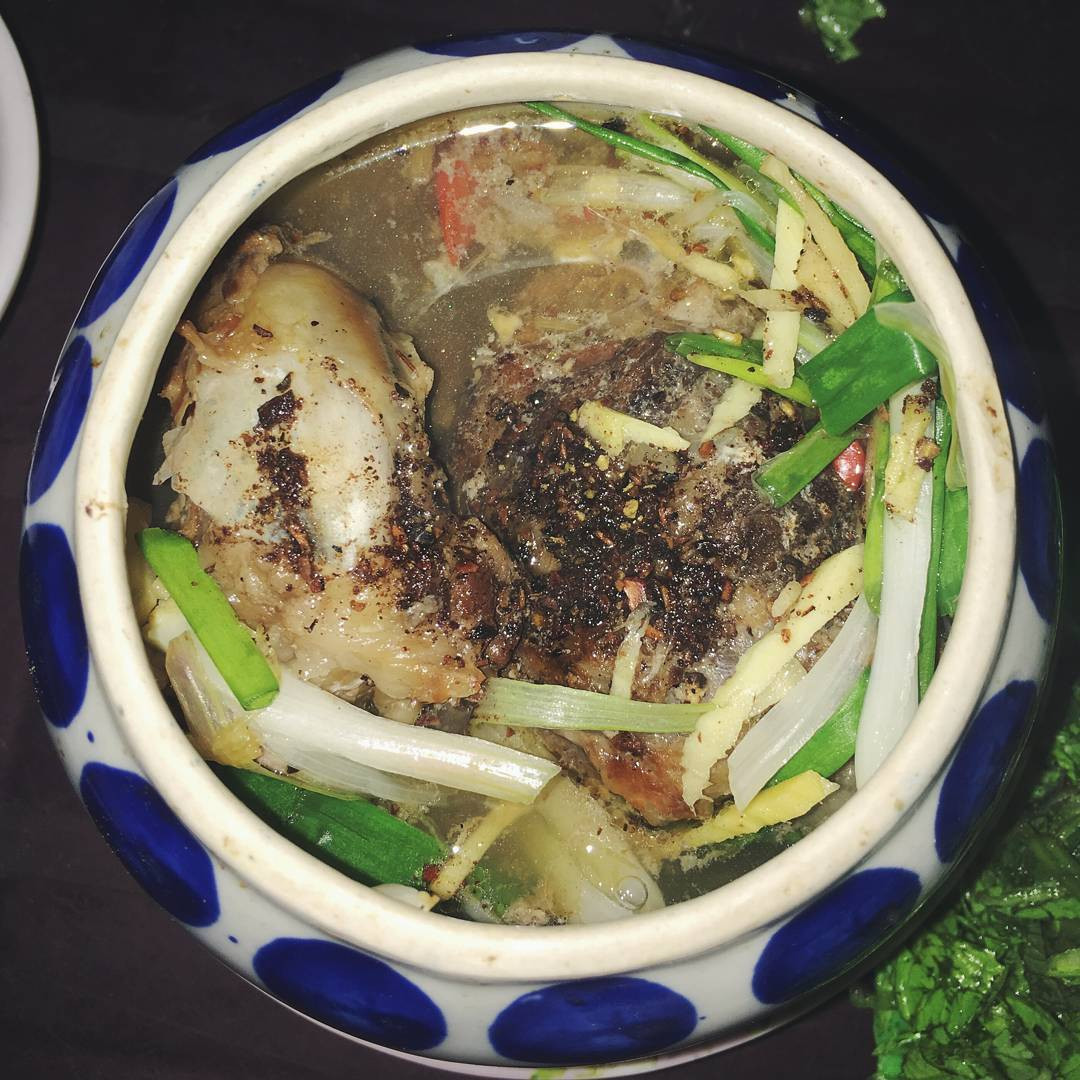 Ngoài hầm thuốc bắc, mắt cá ngừ đại dương còn chế biến được nhiều món ngon khác như: cháo mắt cá ngừ đại dương nấm, mắt cá ngừ hấp tiêu xanh, lẩu mắt cá ngừ đại dương,...