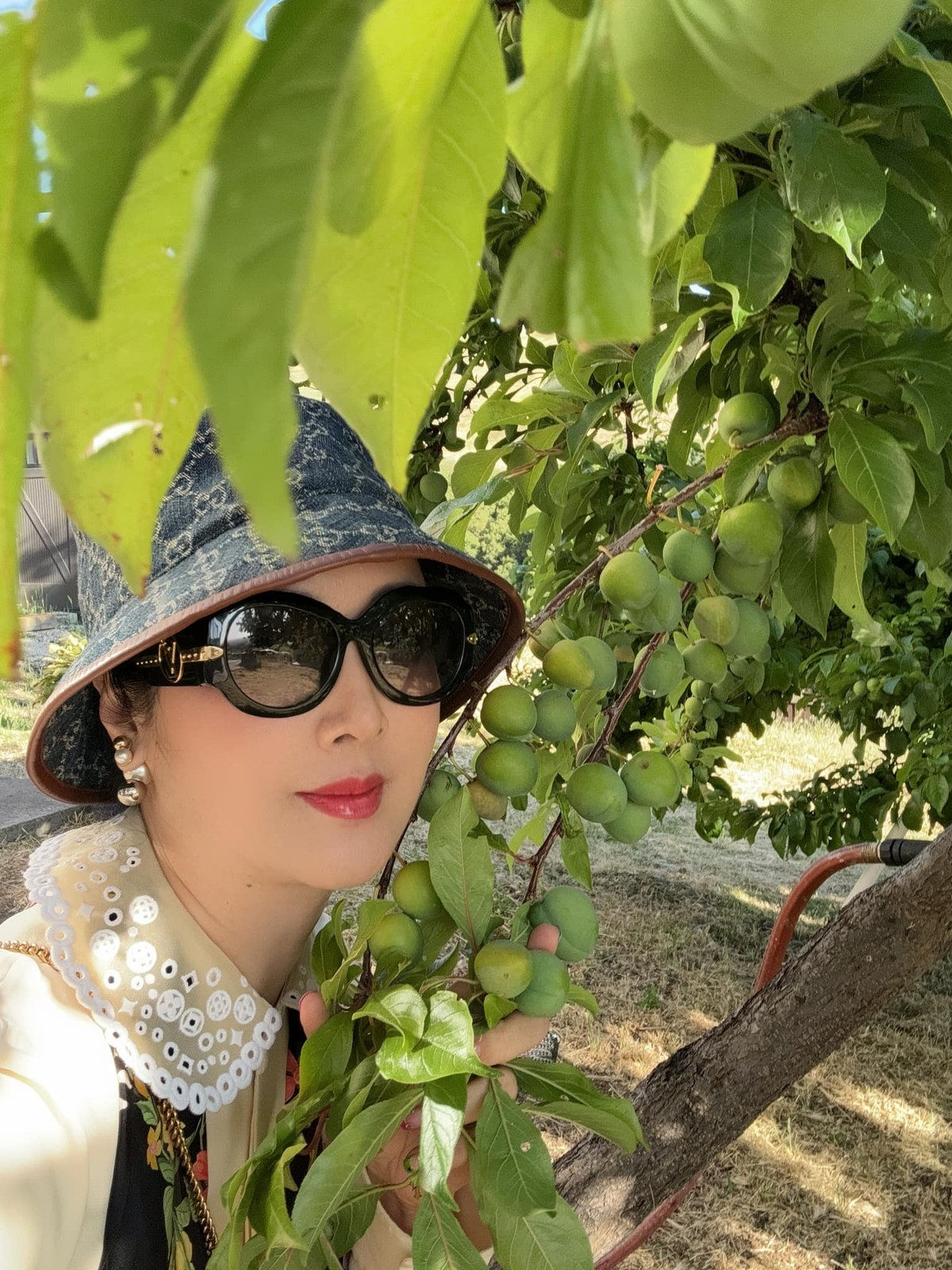 Đến thăm nhà bạn trên đồi, Hoa hậu Giáng My mê mẩn cây mận.