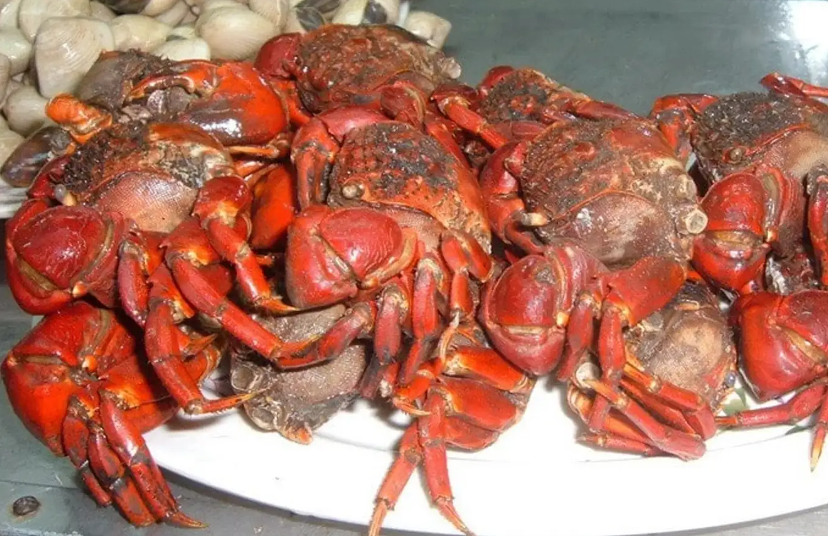 Chù ụ rang me là một trong những đặc sản nhiều người nên thử qua khi đến với Trà Vinh. Chù ụ thuộc họ cua, thân vuông nhỏ và có đôi mắt hơi sụp. Món ăn là sự kết hợp với vị chua ngọt của nước sốt me khiến ai thử rồi cũng phải thích mê. Ảnh: Traveloka