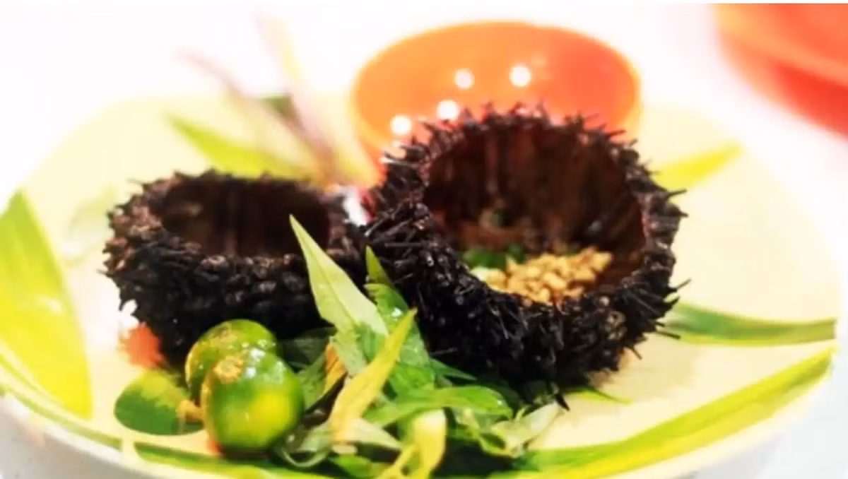 Một trong những đặc sản Quy Nhơn được mọi người săn đón là mắm nhum. Nguyên liệu để làm là loại nhum ta, rất tốn kém và hiếm.