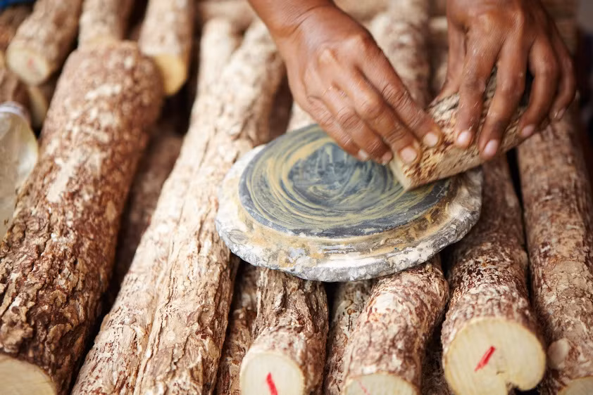 Những loại cây dùng để lấy vỏ cho kem thanaka phải là loại cây sống hơn 2 năm, có nhiều ở miền Trung Myanmar. Để có được những mảnh vỏ cây chất lượng, các cây này phải có tuổi đời ít nhất 35 năm. Thanaka truyền thống được bán dưới dạng những khúc cây