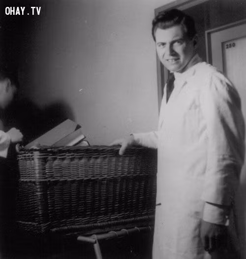 “Thiên thần chết” Josef Mengele là một bác sĩ khét tiếng của Đức quốc xã. Không chỉ trực tiếp giết hàng triệu tù nhân, Mengele còn nổi tiếng bởi những màn thí nghiệm trên thân thể người cực kỳ quái đản.