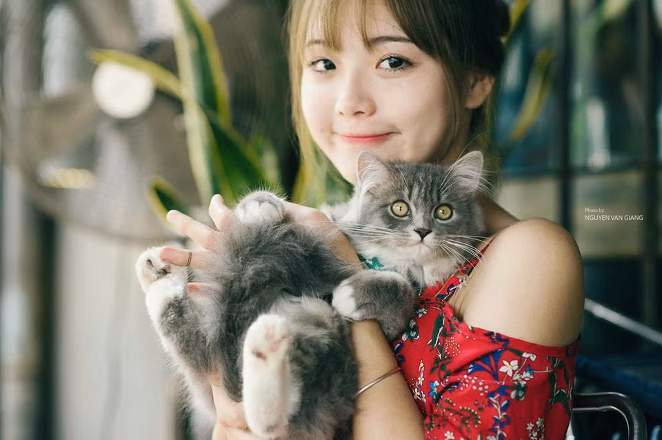 Được dân mạng, bạn bè gặng hỏi nhiều về bộ phim đang đóng nhưng hiện tại Thu Hương vẫn chưa lên tiếng xác nhận đoạn clip vừa qua có phải là cảnh hậu trường quay phim hay không. Tuy nhiên trong một số cuộc trò chuyện trên Facebook giữa Thu Hương và bạn bè, cô gái trẻ này cũng đã xác nhận việc mình thực sự biết chơi cờ tướng và sẵn sàng "tiếp chiêu" nhiều bậc đàn anh.