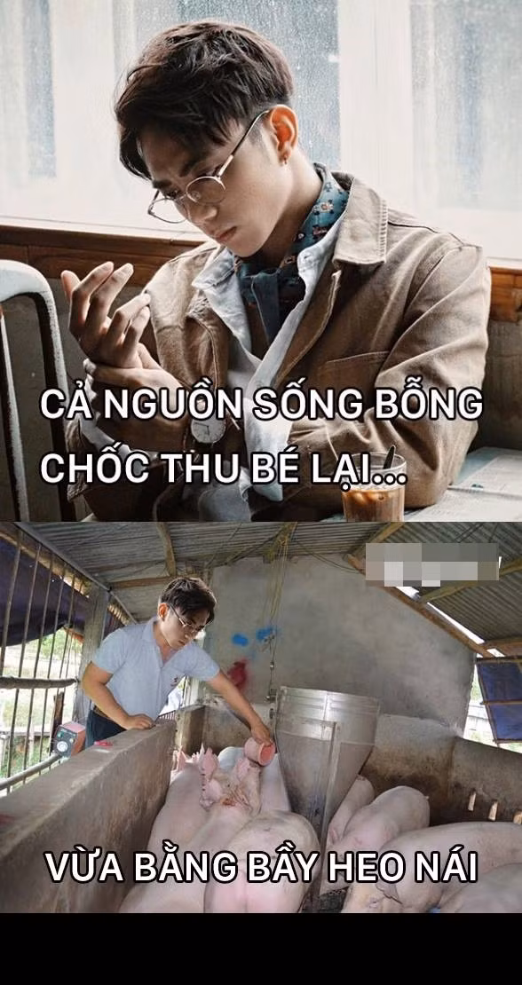 Lựa chọn những câu nói có vần điệu giống với câu hát "... vừa bằng một cô gái", dân mạng Việt đã tạo ra vô số bản chế khiến người nghe, người xem không thể nhịn cười. Những bản chế này thường ẩn chứa những câu chuyện, vấn đề nhỏ trong cuộc sống thường ngày, được minh họa cả bằng chữ cùng những bức ảnh chế cắt ghép rất "cao tay".