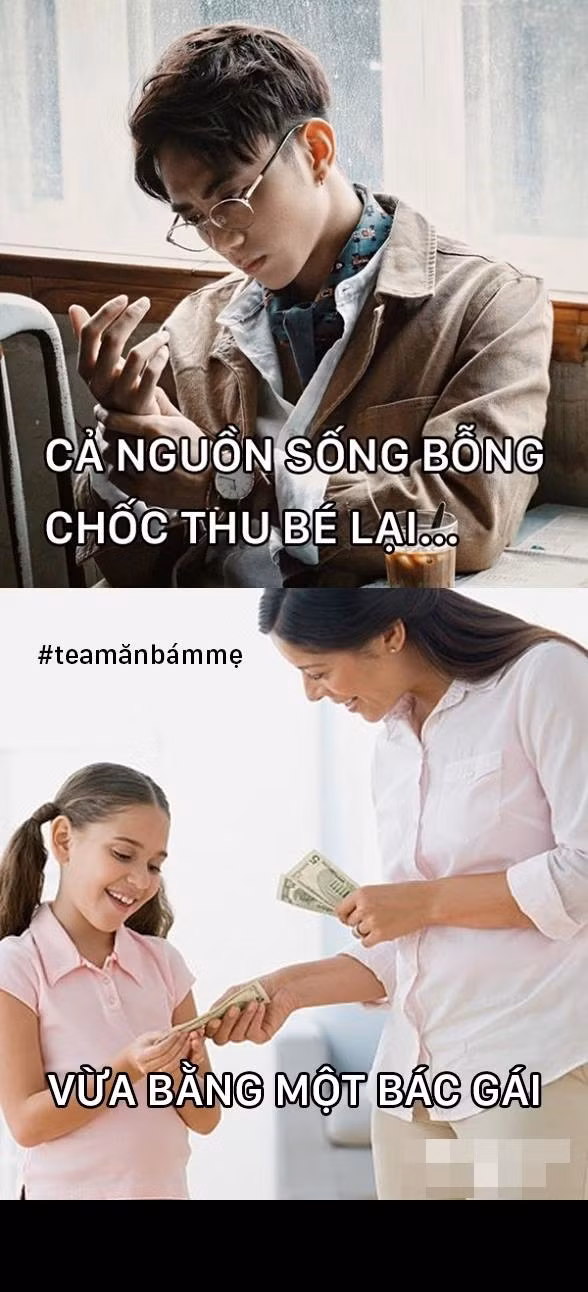 "Cả cuộc sống thu bé lại vừa bằng một bác gái" - đó là câu chế đầy ẩn ý "chặt chém", châm biếm những thanh niên lười lao động, đã trưởng thành nhưng vẫn còn sống trông chờ vào tiền của bố mẹ. Kết hợp cả những điều hiện hữu trong cuộc sống thường ngày để đưa vào những bức ảnh chế, những tác giả này đã mang lại nhiều tiếng cười và cả sự suy ngẫm dành cho giới trẻ nói chung.