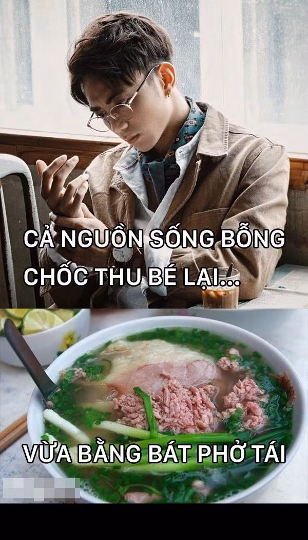 Với những tín đồ mê ăn uống thì "Cả nguồn sống bỗng chốc thu bé lại vừa bằng bát phở tái". Còn với những nhà nông, quanh năm bận bịu với vườn rau, chuồng trại gia súc... thì "Cả nguồn sống bốc chốc thu bé lại vừa bằng... đàn heo nái". Cách chơi chữ, chơi vần này đã thực sự thể hiện được sự hài hước cùng sức sáng tạo không giới hạn của những bạn trẻ đam mê chế ảnh ăn theo những phong trào đang hot trên mạng.