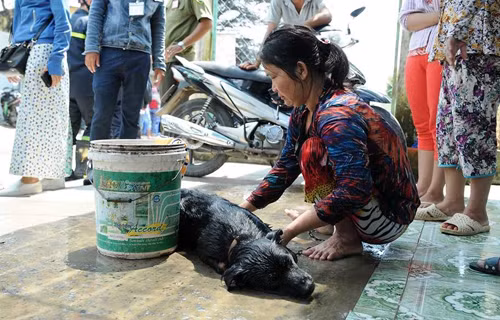 TPHCM: Ro ri khi NH3, hang tram nguoi dan hoang loan-Hinh-3