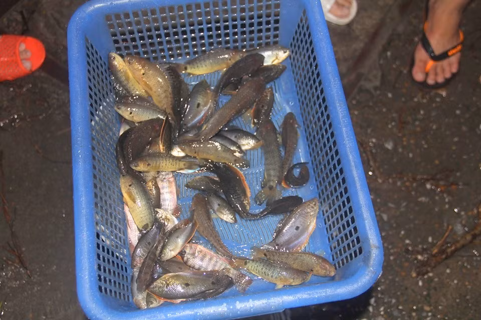 Nhiều người tỏ ra phấn khích với thành quả của mình.