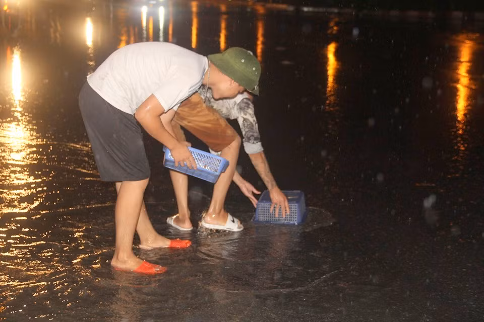 Do mưa lớn khiến đoạn đường ngập sâu kéo dài nhiều giờ đồng hồ người dân háo hức ra đường bắt cá tại khu vực chân cầu vượt nút giao Đàm Quang Trung – Cổ Linh trong đêm.