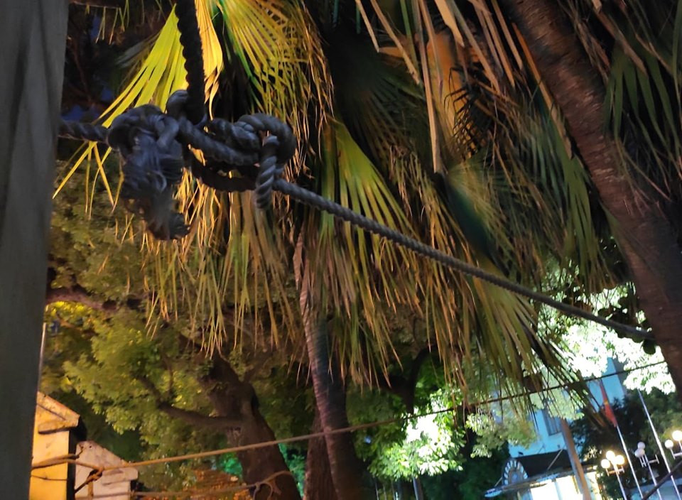 Ngoài ra, ở mỗi cây cột tường còn được buộc thêm dây thừng kéo buộc trực tiếp vào gốc cây bên trong khuôn viên nhà khách La Thành.