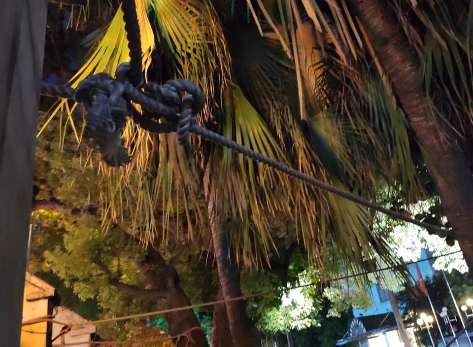 Ngoài ra, ở mỗi cây cột tường còn được buộc thêm dây thừng kéo buộc trực tiếp vào gốc cây bên trong khuôn viên nhà khách La Thành.