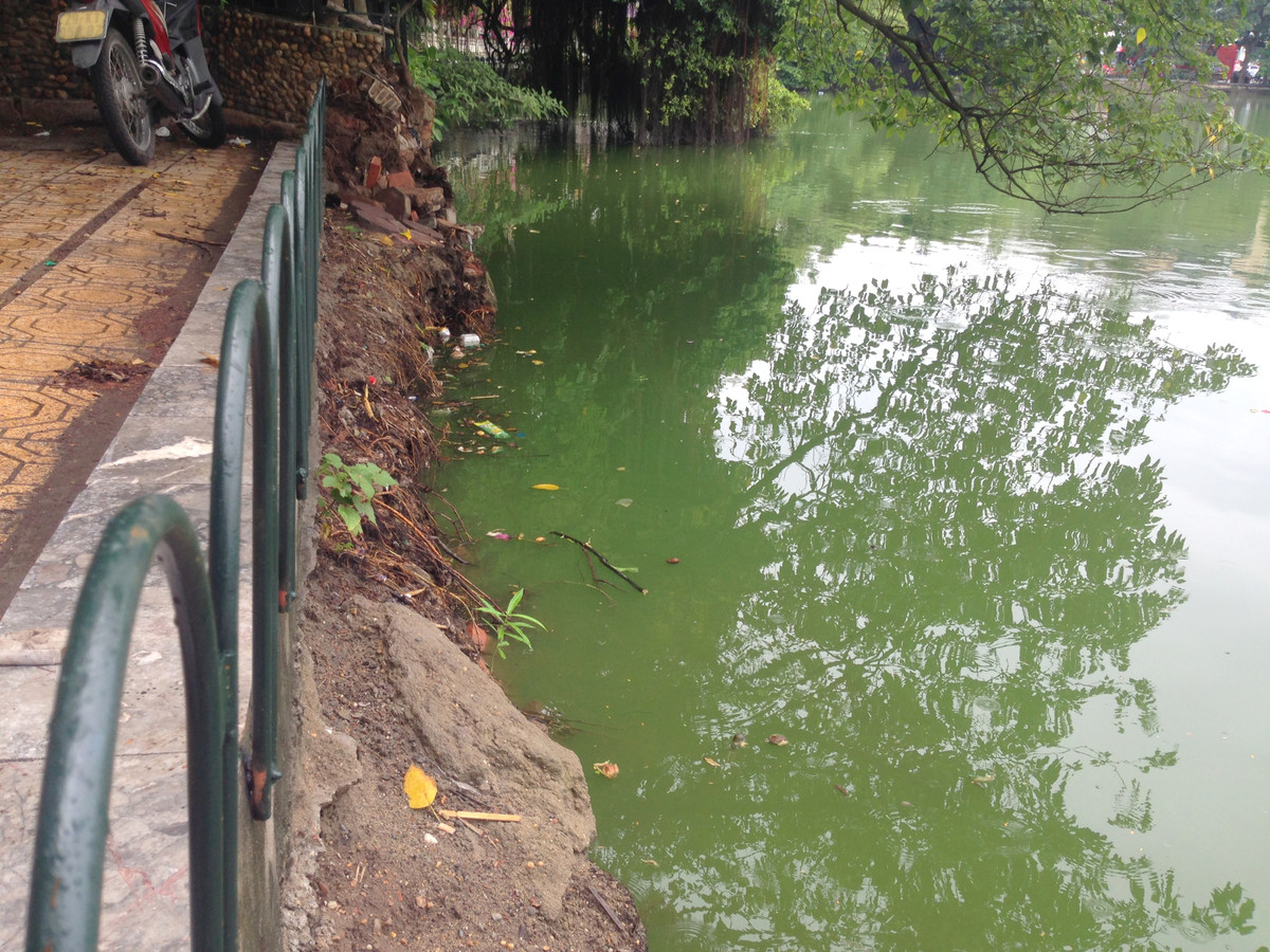 Nhiều vị trí đã mất chân kè dẫn đến hệ thống đường dạo sát mép hồ nhiều điểm bị lún sụt.