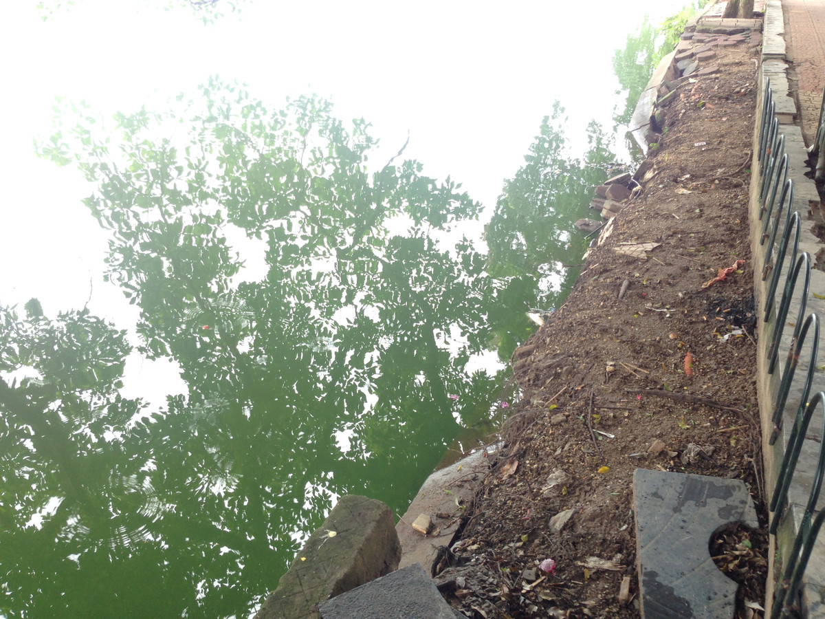 Còn các đoạn bờ kè đang có hiện tượng sụt lún được tạm thời gia cố bằng rào sắt và biển cảnh báo sẽ được cải tạo trước.