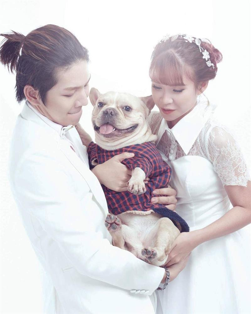 Vợ chồng Khởi My - Kelvin Khánh sở hữu chú cún Choin thuộc giống Bull Pháp. Đây là giống chó thông minh, giá thành đắt đỏ từ 2.000 - 3.000 USD (45 - 70 triệu đồng). Ảnh: Vietnamnet