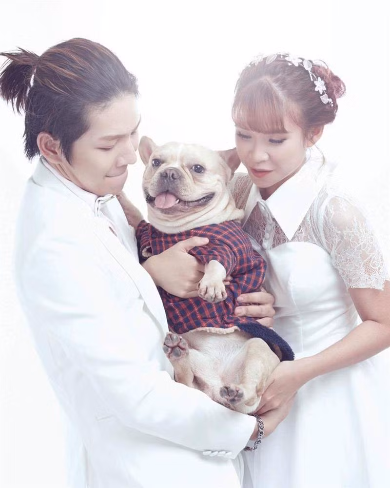 Vợ chồng Khởi My - Kelvin Khánh sở hữu chú cún Choin thuộc giống Bull Pháp. Đây là giống chó thông minh, giá thành đắt đỏ từ 2.000 - 3.000 USD (45 - 70 triệu đồng). Ảnh: Vietnamnet