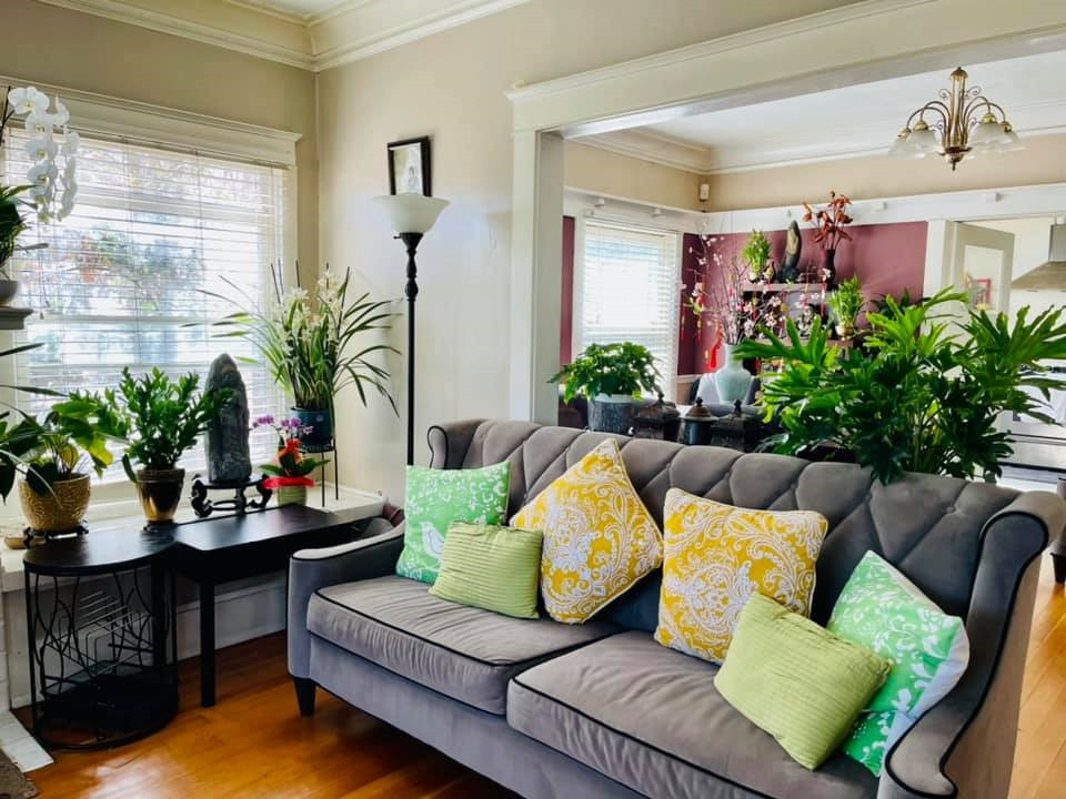 Phòng khách được bài trí gọn gàng với nhiều cây xanh và hoa tươi.