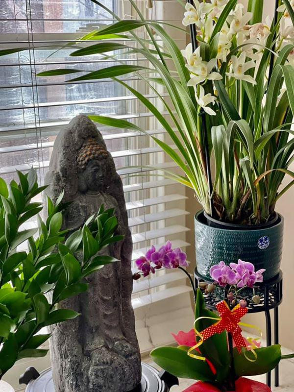 Thúy Nga yêu thích không khí gần gũi với thiên nhiên, nên trong nhà không thể thiếu những mảng xanh.