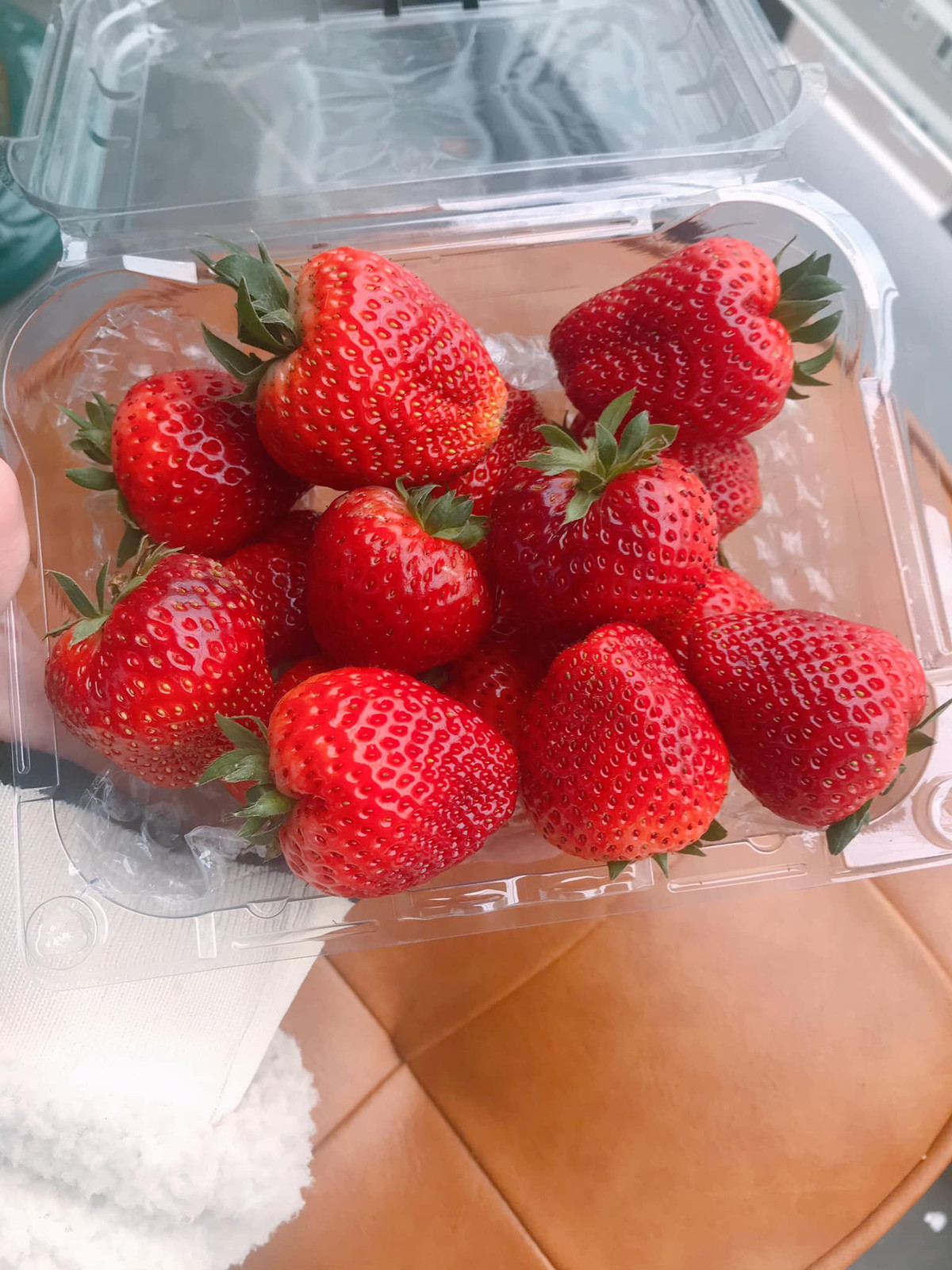 Thêm nữa, thời tiết từ sau Tết ngày càng ấm lên, mưa nắng thất thường kèm theo hiện tượng nồm, ẩm khiến dâu nhanh hỏng vì mình chưa có công nghệ bảo quản như của Hàn Quốc. Nguồn ảnh: Facebook