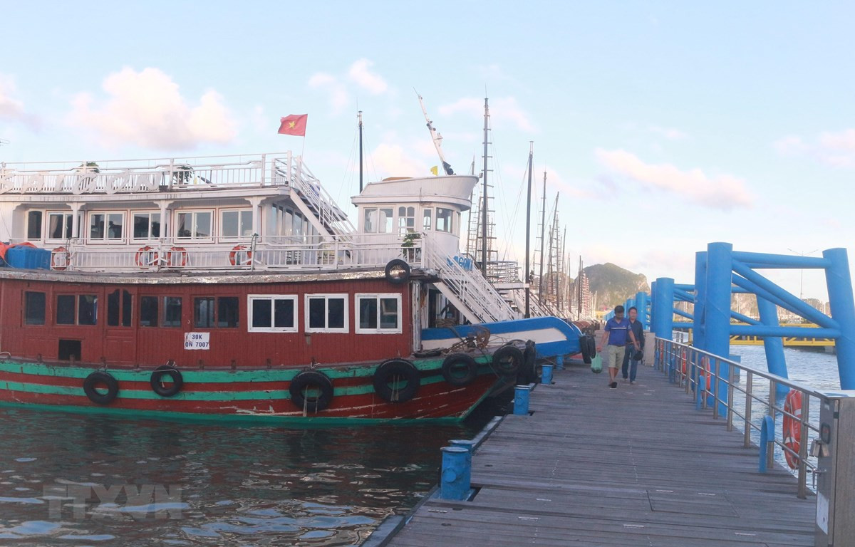 Doi tau du lich nghin ty o Ha Long “dap chieu” thuoc cac “ong lon” nao?-Hinh-2