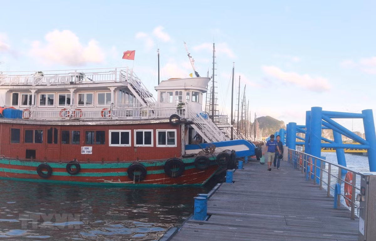 Doi tau du lich nghin ty o Ha Long “dap chieu” thuoc cac “ong lon” nao?-Hinh-2