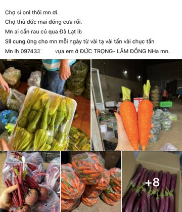 Hàng hóa vào TP.HCM thế nào khi 3 chợ đầu mối dừng hoạt động? - Hình 4 Hang hoa vao TP.HCM the nao khi 3 cho dau moi dung hoat dong?-Hinh-4