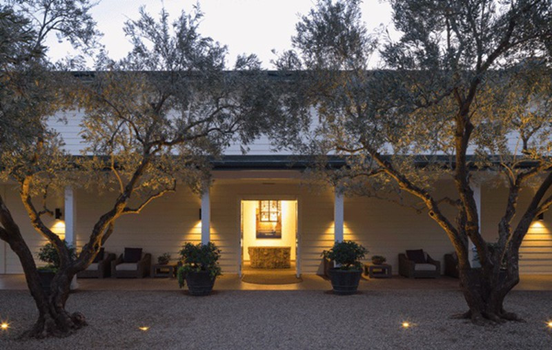 Đây đồng thời là điểm du lịch tuyệt đẹp dành cho những ai yêu thích thiên nhiên, ngắm cảnh đồi nho nối tiếp nhau xa tít tắp. Ảnh: Plo