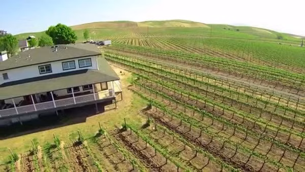 Biet thu tho mong giua vuon nho khong lo cua ty phu Hoang Kieu