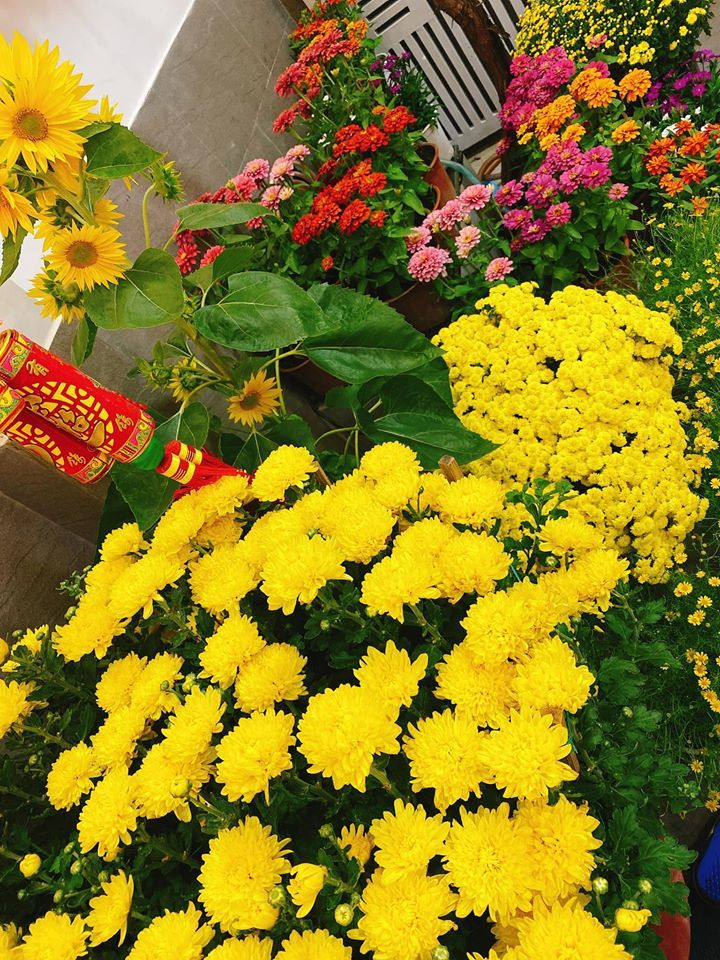 Nhiều khán giả ví không gian nhà hoa hậu như chợ hoa xuân.