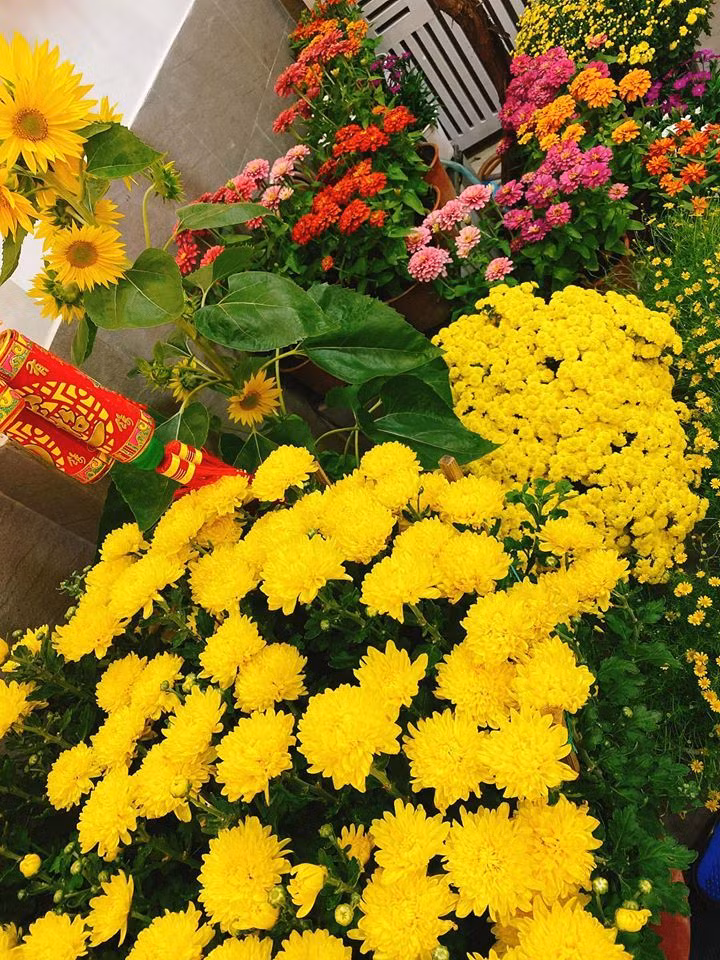 Nhiều khán giả ví không gian nhà hoa hậu như chợ hoa xuân.