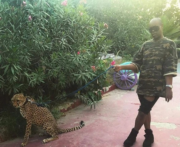 Dắt thú cưng đi chơi ở Dubai.