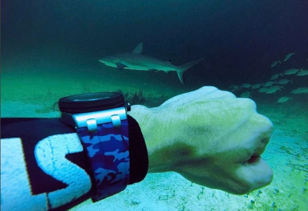 Lặn biển ngắm cá mập cũng phải tranh thủ khoe đồng hồ đắt giá.