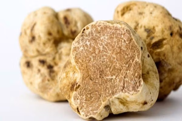 Tại phiên đấu giá vào năm 2006, một đại gia Hong Kong đã chi 125.000 Euro (3,48 tỷ đồng) cho 1,5kg nấm Truffle trắng. Với mức giá này, nấm Truffle trắng trở thành loại nấm đắt đỏ nhất trên thế giới.