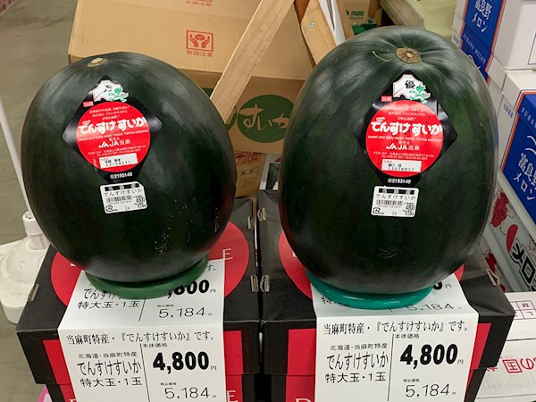 Dưa hấu đen Nhật Bản là một trong những loại trái cây đắt đỏ nhất thế giới khi đã từng có một quả dưa hấu này được đấu giá lên đến 130 triệu đồng. Ảnh: TasteAtlas