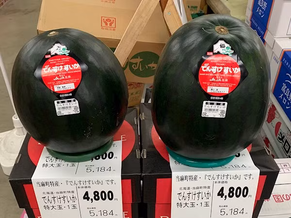Dưa hấu đen Nhật Bản là một trong những loại trái cây đắt đỏ nhất thế giới khi đã từng có một quả dưa hấu này được đấu giá lên đến 130 triệu đồng. Ảnh: TasteAtlas