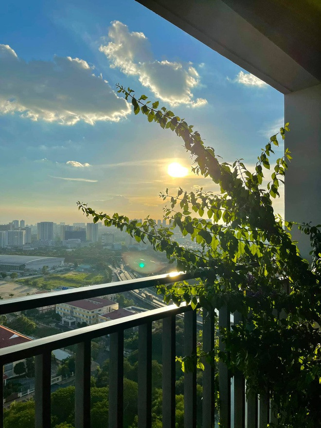 Kỳ Duyên cho biết, nhiều người nhầm lẫn vườn nhà cô trồng hoa giấy nhưng thực tế đây là cây chuỗi ngọc.