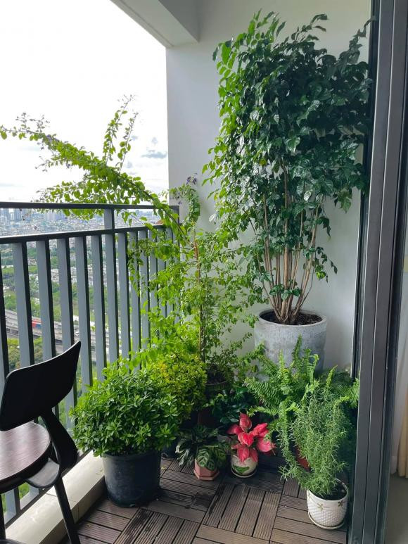 Mới đây, Minh Triệu đăng ảnh chăm sóc khoảng ban công xanh với góc chụp na ná Kỳ Duyên post trước đó. Nguồn ảnh: FBNV