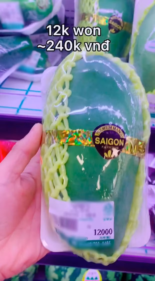 Muốn mua xoài xanh Sài Gòn tại Hàn Quốc phải chi 12.000 Won (khoảng 240.000 đồng)/trái.