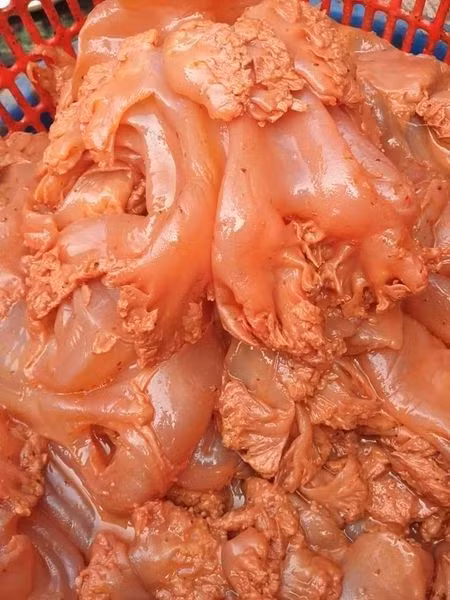 Sứa muối Vẹt là đặc sản dân dã và quen thuộc vùng biển Diêm Điền (Thái Thụy, Thái Bình).