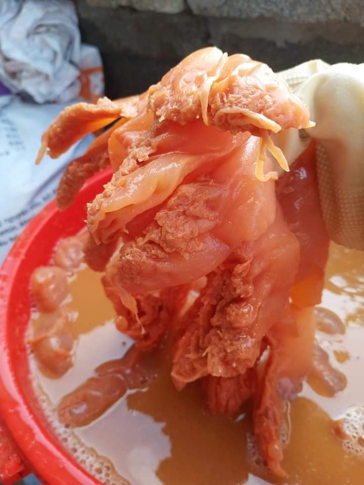 Chị Giang (Cầu Giấy, Hà Nội) chia sẻ, cả nhà đều thích ăn món sứa muối quả vẹt này. Sứa ăn giòn, mát. Vẹt đánh đi mùi tanh của sứa và tạo độ chua, màu đỏ bắt mắt.